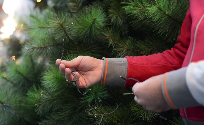 Ecco come allestire le lucine sull'albero di Natale in modo corretto (VIDEO)